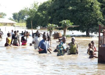 Ambaliya: Tallafin NEDC Ya Zo A Kan Gaba A Arewa Maso Gabas