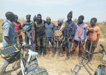 Kwamandojin ‘Yan Ta’adda, Ba’a Usman, Alhaji Ari, Da Wasu Da Dama Sun Mika Wuya Ga Sojoji