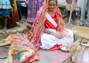 Wata Tsaleliyar Budurwa A Indiya Ta Angonce Da Kare    