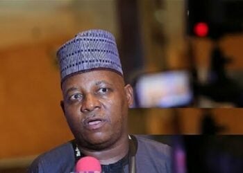 Cikin Wata 6 Kacal Tinubu Zai Fatattaki Matsalar Tsaro – Shettima