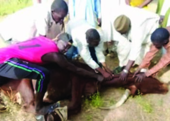 Adawar Siyasa: ‘Yan Siyasa Sun Fara Kewaya Wa Junansu Al-kur’ani A Yobe