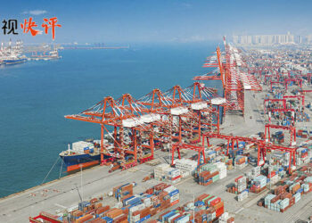 Pierre Moussa: Hanyar Da Kasar Sin Ke Bi Ta Zamanantar Da Kasa Abun Koyi Ne Ga Kasashen Afirka