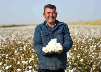 Yawan Audugar Da Xinjiang Ta Samar Ya Kai 90% Bisa Jimillar Wadda Kasar Sin Ke Samarwa