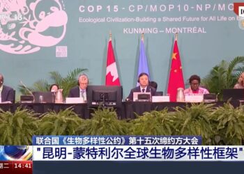 Yarjejeniyar Kare Mabambanta Hallitu a Duniya Ta Kunming Da Montreal Ta Fidda Wata Hanya Mai Dacewa a Fannin Kare Hallitu