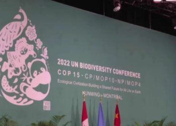 Shugaban Kasar Sin Xi Jinping Zai Yi Jawabi A Yayin Bude Taro Zagaye Na 2 Na Yarjejeniyar COP15