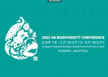 Ana Sa Ran Cop15 Zai Kai Ga Wani Sabon Matsayi Bayan Yarjejeniyar Paris