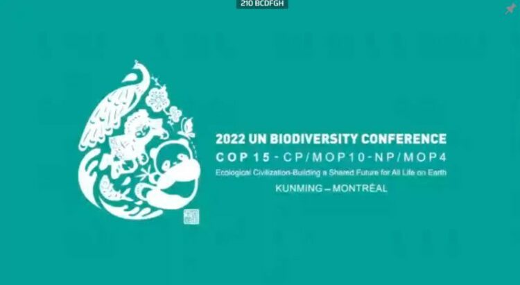 COP15