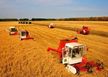 Xi Ya Yi Kira Da A Inganta Fannin Noma Mai Sigar Kasar Sin