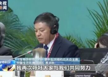 An Rufe Babban Taron COP15