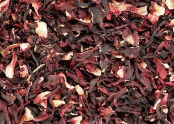 Gwamnatin Kano Za Ta Fadada Fitar  Da Zobo Zuwa Ketare