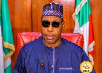 Gwamna Zulum Ya Bayar Da Umurnin Cafke ‘Ƴan Bangar Siyasar Borno