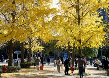 Kasar Sin Ta Sauya Matakan Yaki Da Annobar COVID-19 Bisa Yanayin Da Take Ciki
