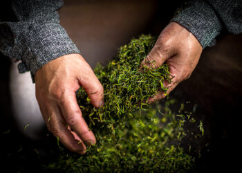 Xi Jinping Ya Bukaci A Kiyaye Abubuwan Al’adu Da Aka Gada Daga Kaka Da Kakani Da Ba Na Kaya Ba Yadda Ya Kamata