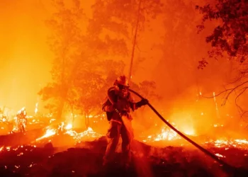 Gobara Ta Jawo Wa Manoma Asarar Biliyoyin Naira A Ogun