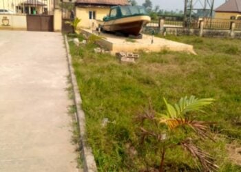 NIS Reshen Bayelsa Ta Ƙaddamar Da Ƙawata Muhallinta Da Dashen Itatuwa