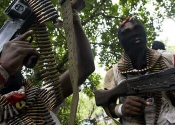 Da Dumi-Dumi: Mahara Sun Kashe DPO Da Wasu A Benue