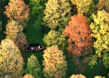 Kasar Sin Ta Fitar Da Takardar Bayani Kan Ci Gaba A Sabon Zamani Ba Tare Da Gurbata Muhalli Ba 