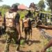 NDLEA Sojoji Sun Kashe ‘Yan Bindiga 3 Da Kubutar Da Mutum 16 Da Aka Sace A Kaduna
