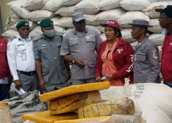 NDLEA Ta Cafke Mutum 1,232 Da Miyagun Kwayoyi A Kaduna