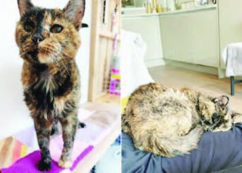 An Gano Mage Mafi Tsufa A Duniya