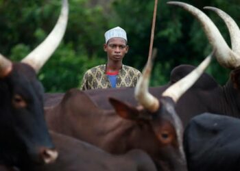 Karin Bayani Kan Harin Bom Din Da Ya Kashe Fulani 39 A Nasarawa — Ganau
