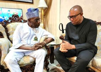 Ko Ayyana Goyon Baya Ga Dan Siyasa Da Wasu Ke Yi Zai Yi Tasiri?