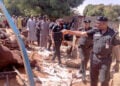 yan ta'adda Mutum 18 Sun Mutu, 40 Sun Jikkata A Hatsarin Mota A Kebbi