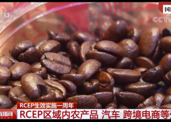 RCEP Ta Samar Da Abin Koyi Ga Hadin Gwiwar Tattalin Arzikin Shiyya Shiyya