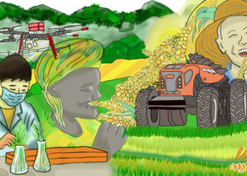 Hanyar Da Sin Take Bi Wajen Bunkasa Aikin Gona Za Ta Baiwa Duk Fadin Duniya Kwarin Gwiwa