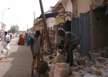 Yadda Zaben Shugabannin Kungiyar Masu Maganin Gargajiya Ta Kasa Ya Gudana