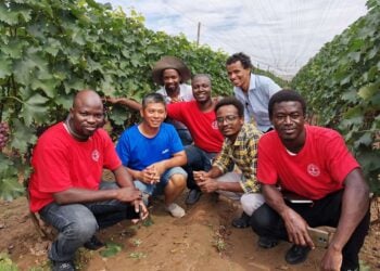 Wannan Farfajiya Ta Nuna Tushen Alakar Afirka Da Sin