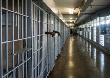 An Daure Dan Kamasho Wata 6 Kan Satar Batirin Mota A Abuja