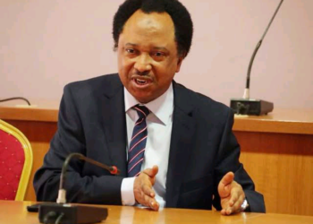 Canjin Kudi: Dalilin Da El-Rufai Ba Ya Ganin Girman Buhari A Yanzu – Shehu Sani