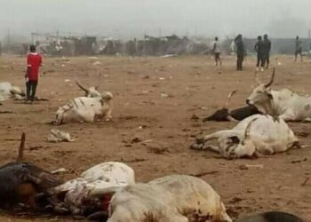 Majalisar Dinkin Duniya Ta Yi Tir Da Kisan Fulani 40 A Jihar Nasarawa