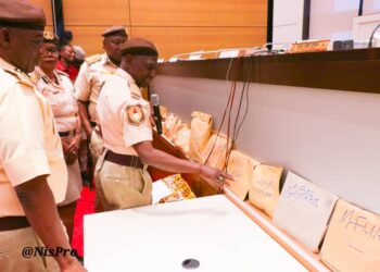 Zaɓen 2023: NIS Ta Ƙwace Katin Zaɓe Da Na Ɗan Ƙasa 6,216 Daga Baƙin Waje