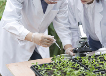 Shugaban Kasar Sin Ya Jaddada Muhimmancin Karfafa Aikin Nazari