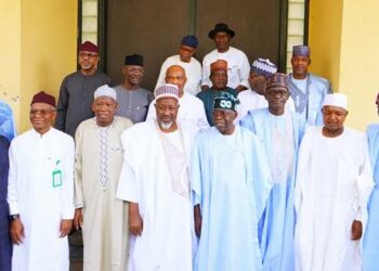 Sauyin Kudi: Tinubu Ya Jinjinawa Gwamnonin Nijeriya Kan Hukuncin Kotun Koli