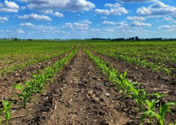 Duk Wanda Zai Yi Noma Ya Tabbatar Da Kiyaye Lokaci – AFAN