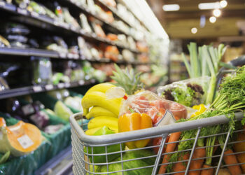 Sin Za Ta Fadada Shigo Da Hajoji Masu Nagarta A Shekarar Nan Ta 2023