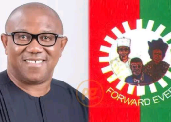 Zaben Gwamnoni: Ba Mu Yi Hadaka Da Kowace Jam’iyya Ba -LP