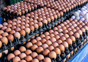 Karancin Kudi: Mun Yi Asarar Kwai Na Biliyan 30 -Masu Kiwo