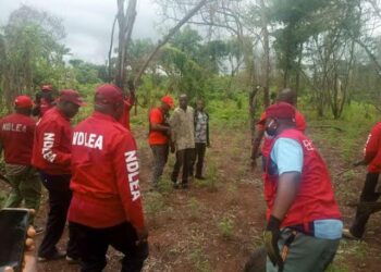 NDLEA Ta Cafke Wani Tubabban Dan Ta’adda Da Laifin Safarar Miyagun Kwayoyi
