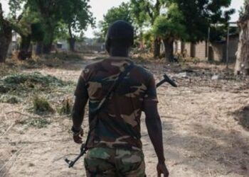 Wani Soja Ya Harbe Abokin Aikinsa A Jihar Borno