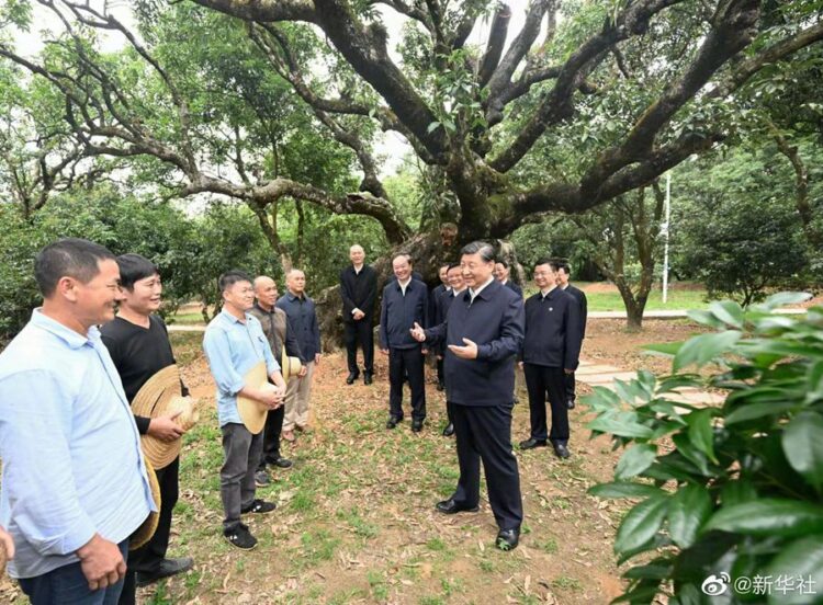 Xi Jinping
