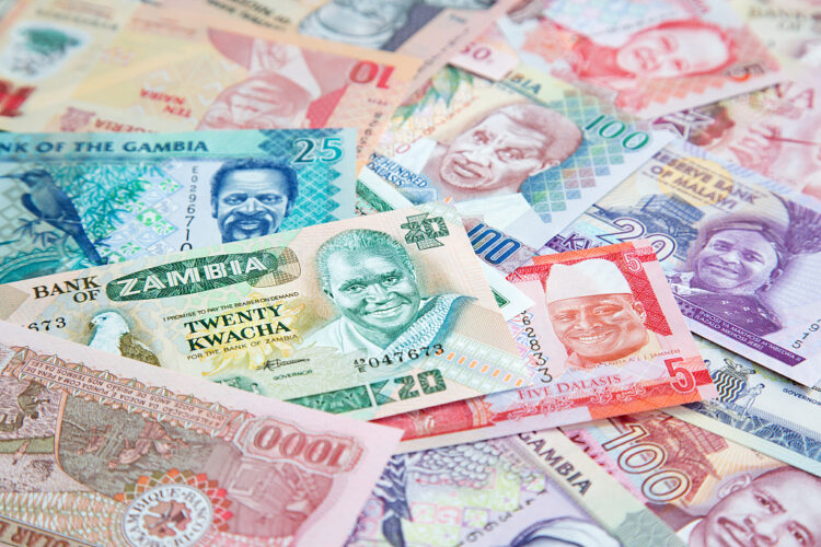 Variety of the African banknotes