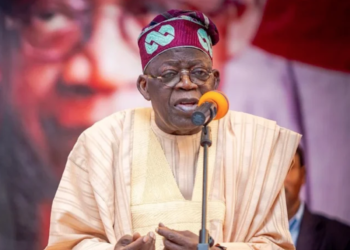 Akwai Bukatar Tinubu Ya Rubanya Kokarin Buhari Na Bunkasa Harkokin Noma  -Alhaji Umar