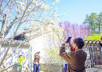 Al’adar Kallon Furannin Magnolia A Wurin Ibada Na Dajuesi Mai Tarihin Fiye Da Shekara Dubu
