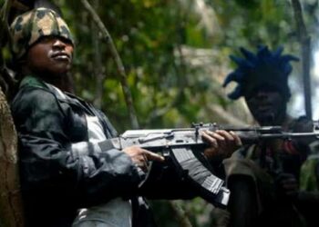 Yadda Mahara Suka Yi Wa Shugaban Al’umma Kisan Gilla A Imo