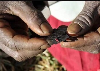 Shirin Kawo Karshen Yi Wa Mata Kaciya Nan Da 2030