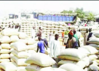 Hukumar Abinci Ta Duniya Ta Ce A Karon Farko Farashin Abinci Ya Tashi